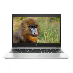 Laptop HP ProBook 450 G6 (5YM72PA) (i5 8265U/4GB RAM/1TB HDD/15.6" HD/FP/Dos/Bạc)