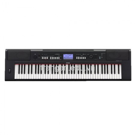 Keyboard (đàn phím điện tử) 